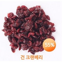 건 크랜베리 100g (소분) 건조 말린 크렌베리, 1개