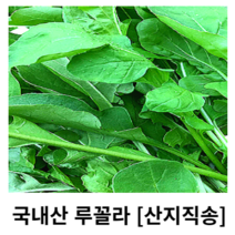 국내산 루꼴라 100g 300g 500g 1kg 2kg 산지직송 루골라 arugula 루꼴라로켓 로케트루꼴라 로케트샐러드 루꼴라샐러드 샐러드루꼴라 샐러드 피자토핑 특수채소