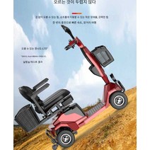 어르신전동차 노인전동차 삼륜오토바이 노인, 표준 모델12A 납산약 40km250W 모터 24V
