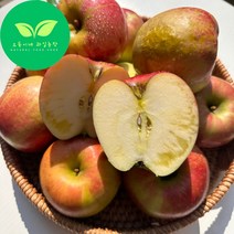 오둥이네 농장 아삭아삭 고당도 가정용 아리수 사과 신품종 알뜰사과 2kg~9kg, 1박스, 꼬마과 (14-16과) 2kg