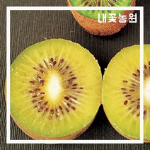 키위(레드키위) 접목 3년생