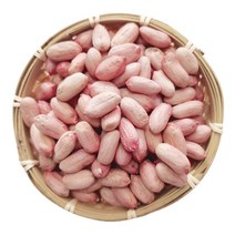 대양 생땅콩 알땅콩 큰땅콩 5kg 1개