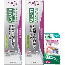 검치약 일제 일본 썬스타 치약 잇몸 치주염 입냄새제거 시린이 천연 좋은 치약, 90 그램 (x 2)