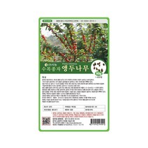 (DN) 앵두나무 씨앗(50g)