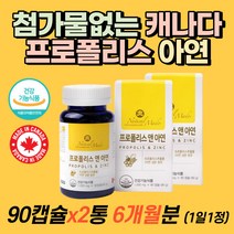 프리미엄 첨가물없는 프로폴리스 캐나다 직수입 직구 환절기 성장기 건강 유지 건강식품 식약청인정 3중 복합 기능성 흡수율높은 글루콘산 아연 면역 기관지 케어 항산화제 6개월