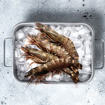 캡틴피쉬 자연산 프리미엄 킹타이거 왕새우, 대1미(180g~220g)