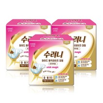 수려니 와이드 매직테이프 프리미엄 대형 10매x1팩 성인용기저귀, 10개입, 1팩