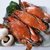 2022년 신안 햇꽃게 특상품 봄 가을 제철 꽃게 서해안 급냉 암 숫꽃게 1 2 3kg, 2022년 햇꽃게, 암수섞임-중 1kg