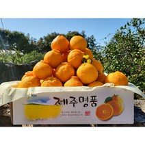 제주스카이팜 -특가 한정판매 노지한라봉 하우스한라봉 5kg 10kg 선물용 가정용, 산지직송 고당도 가정용 노지한라봉 5kg