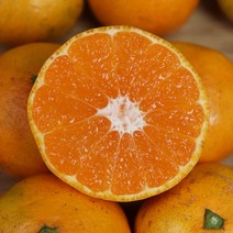 제주 무농약 감귤 1박스, 무농약 감귤 랜덤 1박스 5k