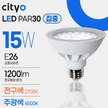 씨티 LED램프 PAR30 집중 E26 15W (할로겐 전구 LED조명 캔들워머), 주광색