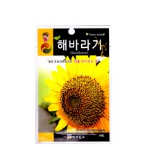 해바라기(일반2m) 씨앗 꽃씨종자(10립) MK231