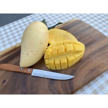 태국 골드망고 과일선물 추천 망고, 1개, 5kg 14과수내외