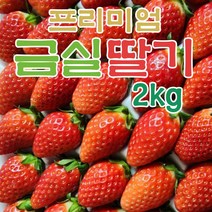 진짜 금실딸기 프리미엄 고급 딸기 2kg