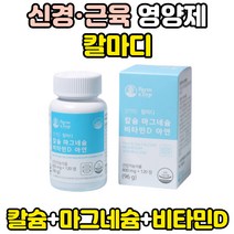 신경 근육 뼈에좋은 치아 영양제 식물성 해조 칼슘 마그네슘 아연 햇빛 비타민 D 콜레칼시페롤 임산부 칼마디 뼈 건강 흡수 면역력 추천 눈밑떨림 치아에좋은 보충제 칼슘제 부족 증상
