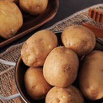 감자 수확중 수미햇감자 맛있는 감자 5kg 10kg, 【햇수미감자】5kg(대/찜용/계란크기 80~110g)