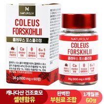 건조효모 콜레우스 포스콜리 결정판 60정 셀레늄 판토텐산 칼슘, 1개
