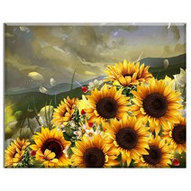 FASEN diy보석십자수 캔버스 형액자 세트 40cm x 50cm, AYW-169