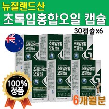 뉴질랜드 초록입홍합오일 6개월분 180캡슐 6박스 초록잎홍합 성분 초롱이홍합 푸른홍합 초록빛홍합 초롱잎홍합 청홍합 푸른입홍합오일 GREENMUSSELOIL 초록입홍합추출오일
