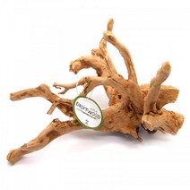 어항꾸미기 브런치유목 팔루다리움 잔가지유목 파충류