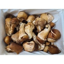 참말로 국산 참송이버섯 1kg, 가정용 1kg, 1개