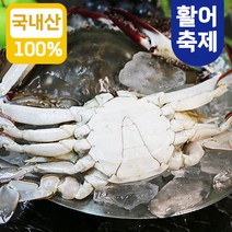 연평도 숫꽃게 국산 살아있는 서해안 활꽃게 꽃게 1kg 가을 제철 생물 택배 꽃게탕 꽃게찜 간장게장 만들기, 연평도 활꽃게 (얼음포장), 3kg (12-18마리), 1개