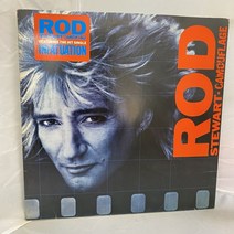 ROD STEWART LP / 엘피 / 음반 / 레코드 / 레트로 / AA607