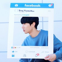 포토프레임 (페이스북), 단품