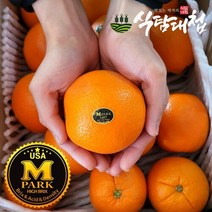 블랙라벨 네이블오렌지 50과 중소과 개당160G내외, 단품