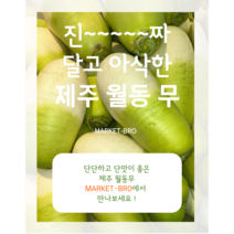 [국내산] 무 무우 제주무 월동무 저장무 겨울무, 제주월동무 5kg