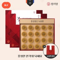 천지양 홍삼품은 녹용환 20환 2세트 쇼핑백증정, 천지양 홍삼품은 녹용환 2박스, 단품