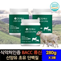 고함량 농축 유청 단백질 파우다 헬스 보충제 부스터 류신 온가족 노인 성장기 어린이 키즈 시니어 어른 분유 식물성 동물성 복합 프로틴 파우더 아침 점심 저녁 한끼 식사대용 쉐이크