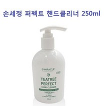 만들기 워시 핸드 손세정제 클리너 겔 위생 250ml 손씻기 대용량 청결 퍼펙트, 손세정제250ml