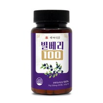 빌베리100 정 500mg x 100정 HACCP, 2개, 500mg*100정