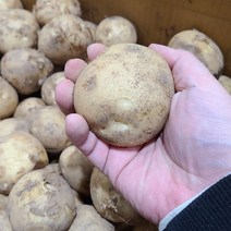햇감자 수미 알 감자 5kg, 01_감자(중)5kg