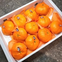 농랑부랑 설선물세트 제주 산지직송 명품 레드향 백화점 선물세트 로얄과 3kg 5kg, 3kg 대과 (9~12과)