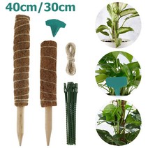 코코 야자 껍질 식물 스틱 30/40CM 2 개 넥타이 및 레이블 정원 이끼 지원 확장, 02 30cm