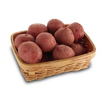 2023년 국내산 햇 홍감자, 10kg, 홍감자(대), 1개