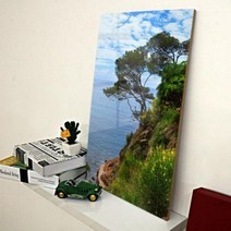 바보사랑 아크릴액자 풍수장수를기원하는소나무(대형).꾸밈