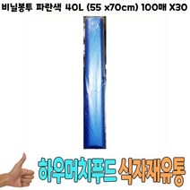 손잡이봉투 비닐봉투 파란색 40L 55x70cm 100매 x30 식자재, 색상:[색상]본상품, 단품