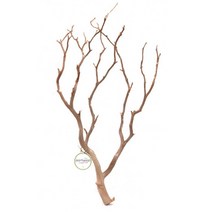 세틀 만자니타 샌딩 유목 [S] 25~35cm