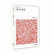 파주에게 017 실천문학시인선, 상품명