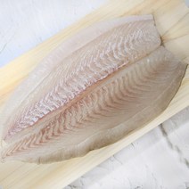 국내산 당일작업 제주/완도 광어회 한마리 활광어 800~1000g, 1마리