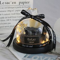 프리츠한센 이케바나 도자기 화병 항아리 독특한 유리 돔 장미와 조명 아름다운 야수 보존된 장미 발렌타인데이 선물, [04] gray