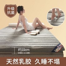 latex 매트리스 실내 장식 홈 기숙사 싱글 더블 매트리스 다다미 매트 스폰지 패드 렌탈 패드 매트리스