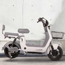 2023 레이윙 디스커버리 프레시 S10 전기 전동스쿠터 750w 16Ah, 화이트(44ah)