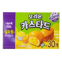 오리온 카스타드 실속형 30개입, 690g, 1개