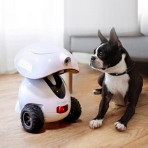 DOGNESS 펫케어 반려동물 로봇 강아지 간식 로봇 움직이는 강아지 장난감 펫캠, 블랙