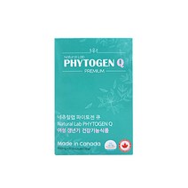 파이토젠 Q 대두 이소플라본 회화나무열매 추출물 에스트로겐 여성갱년기 영양제 600mg 30캡슐, 1개, 60캡슐