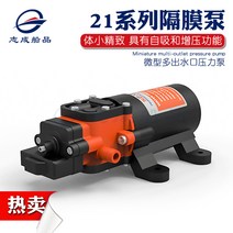 12V / 24V 21 RV 다이어프램 펌프 DC 워터 펌프 선박용 자동차 배터리 프라이밍펌프 자동펌프 요트펌프 펌프 12V 3.8LPM, 1